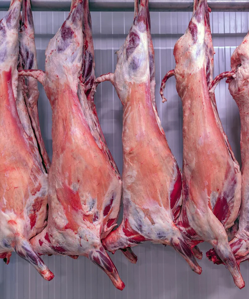Lamb & Mutton